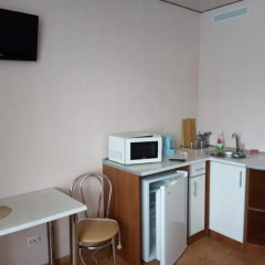 Гостиница Aparthotel Flora Украина, Харьков - отзывы, цены и фото номеров - забронировать гостиницу Aparthotel Flora онлайн удобства в номере фото 2