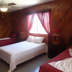 Отель Coral View Beach Resort комната для гостей фото 2