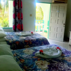 Отель Coral Seas Garden Resort 3* Стандартный номер с различными типами кроватей фото 3