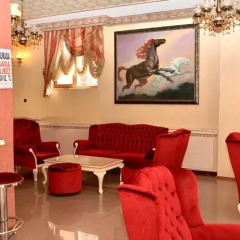 Umit Pembe Kosk Hotel Турция, Анкара - отзывы, цены и фото номеров - забронировать отель Umit Pembe Kosk Hotel онлайн интерьер отеля фото 3