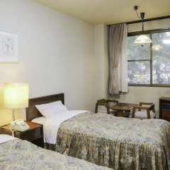 Hakuba Park Hotel 2* Стандартный номер фото 2