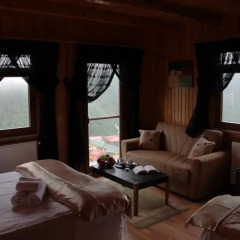 Villa de Pelit Hotel 3* Стандартный номер с различными типами кроватей фото 20