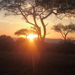 Отель Nature Homes - Africa Amini Life фото 4