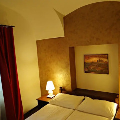 Hotel U Krize комната для гостей фото 5