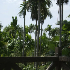 Отель Lila Homestay Hoi An балкон