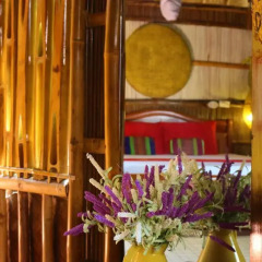 Отель Under the coconut tree Бунгало с различными типами кроватей фото 3
