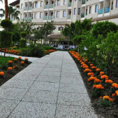 Bella Resort & Spa Турция, Сиде - отзывы, цены и фото номеров - забронировать отель Bella Resort & Spa - All Inclusive онлайн фото 5