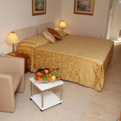 Hotel Vila Tina 3* Номер Делюкс с различными типами кроватей фото 22