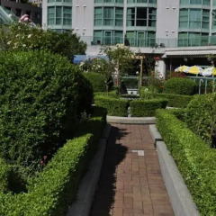 Отель Rosedale On Robson Suite Hotel Канада, Ванкувер - отзывы, цены и фото номеров - забронировать отель Rosedale On Robson Suite Hotel онлайн фото 13