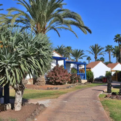 Отель Aldiana Fuerteventura Номер Эконом с разными типами кроватей фото 5