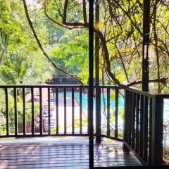 Отель Birds & Bees Resort 3* Люкс с различными типами кроватей фото 32