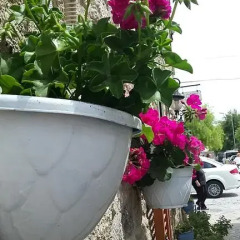 Отель Köşem Konukevi Чешме фото 10