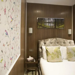 Cheshire Hotel 3* Стандартный номер с различными типами кроватей фото 4