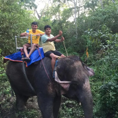 Отель Chitwan Forest Resort Непал, Саураха - отзывы, цены и фото номеров - забронировать отель Chitwan Forest Resort онлайн приотельная территория