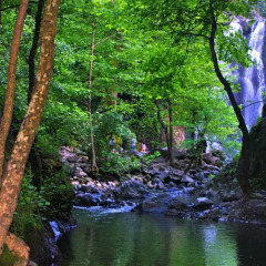 Отель Green Life Thermal фото 2