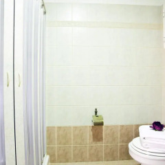 Elizabeth Hotel 2* Стандартный номер с различными типами кроватей фото 2