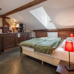 Апартаменты Antique Apartments - Plac Szczepanski Студия с различными типами кроватей фото 12