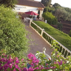 Отель Finca La Luz Bed & Breakfast фото 4