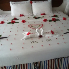 Отель Voyager Beach Resort
