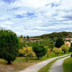Отель Daphne Holiday Club Греция, Халкидики - 1 отзыв об отеле, цены и фото номеров - забронировать отель Daphne Holiday Club онлайн фото 6