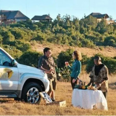 Отель Addo Afrique Estate спортивное сооружение