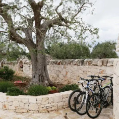 Отель Trullo Montetrecarlini Мартина Франка спортивное сооружение
