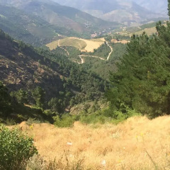 Отель Quinta da Barroca Португалия, Армамар - отзывы, цены и фото номеров - забронировать отель Quinta da Barroca онлайн фото 7
