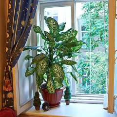 Гостиница Antony's Home фото 2