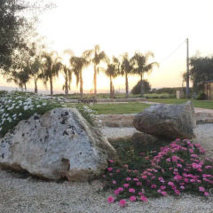 Отель Agriturismo La Casa Di Melo Фонтане-Бьянке фото 8