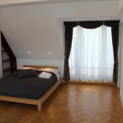 Отель Vienna's Place City-Apartment Gumpendorferstraße Австрия, Вена - отзывы, цены и фото номеров - забронировать отель Vienna's Place City-Apartment Gumpendorferstraße онлайн комната для гостей фото 2