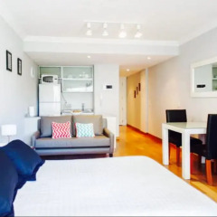 Отель Exclusivo Departamento En Park Plaza Recoleta комната для гостей фото 5