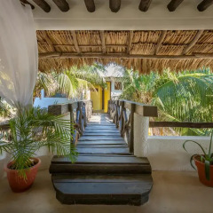 Отель Beachfront Hotel La Palapa - Adults Only Мексика, Остров Ольбокс - отзывы, цены и фото номеров - забронировать отель Beachfront Hotel La Palapa - Adults Only онлайн фото 6