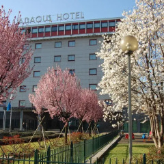 Abacus Hotel 4* Стандартный номер с различными типами кроватей фото 4