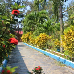 Отель Dragon Sea Homestay Хойан фото 15