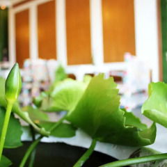 Отель Sabai Inn Patong