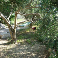 Апартаменты Nature Apartment in Split фото 11