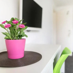 Апартаменты Tia Apartments and Rooms удобства в номере