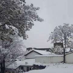 Murat Bey Konağı Hotel Турция, Анкара - отзывы, цены и фото номеров - забронировать отель Murat Bey Konağı Hotel онлайн фото 4