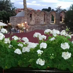 Отель Alex Guest House