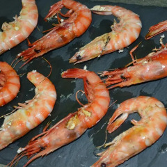 Отель Venta de la Punta гостиничный бар