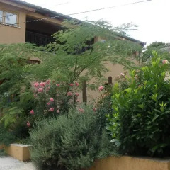 Отель Vila Portokalo Сербия, Белград - отзывы, цены и фото номеров - забронировать отель Vila Portokalo онлайн фото 3