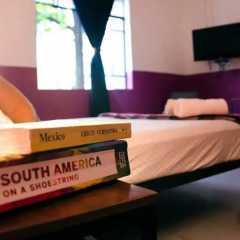 Отель Stayinn Barefoot Condesa Улучшенный номер фото 2