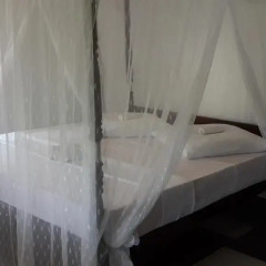 Отель Roshini Inn Апартаменты с различными типами кроватей фото 2