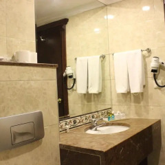 Topkapi Inter Istanbul Hotel 4* Стандартный номер с различными типами кроватей фото 45