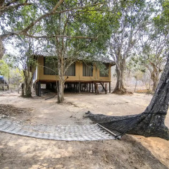 Отель Yala Safari Camping пляж фото 2