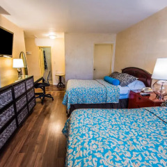 Отель Hollywood Downtowner 3* Номер Делюкс