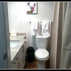 Отель Pelican Suites At Burnaby Канада, Бурнаби - отзывы, цены и фото номеров - забронировать отель Pelican Suites At Burnaby онлайн ванная