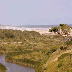 Отель Oyster Bay Lodge 4* Номер Комфорт с различными типами кроватей фото 5