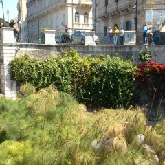Отель La Casa della Nonna Италия, Сиракуза - отзывы, цены и фото номеров - забронировать отель La Casa della Nonna онлайн