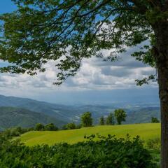 Отель Agriturismo Casa Passerini a Firenze 2* Коттедж фото 48